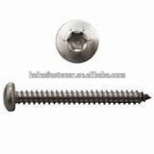 DIN7981 torx pan head self tapping screw, pan head self tapping screw din7981